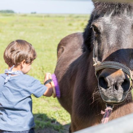 Friesenhof Janssen - Urlaub Auf Dem Bauernhof Apartamento Neuharlingersiel Exterior foto