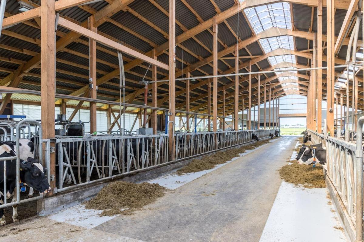 Friesenhof Janssen - Urlaub Auf Dem Bauernhof Apartamento Neuharlingersiel Exterior foto